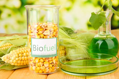 Nether Poppleton biofuel availability